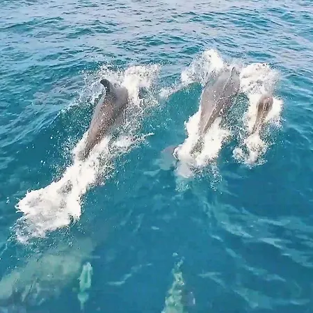 Thai By Algarve Vacation